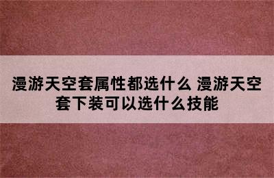 漫游天空套属性都选什么 漫游天空套下装可以选什么技能